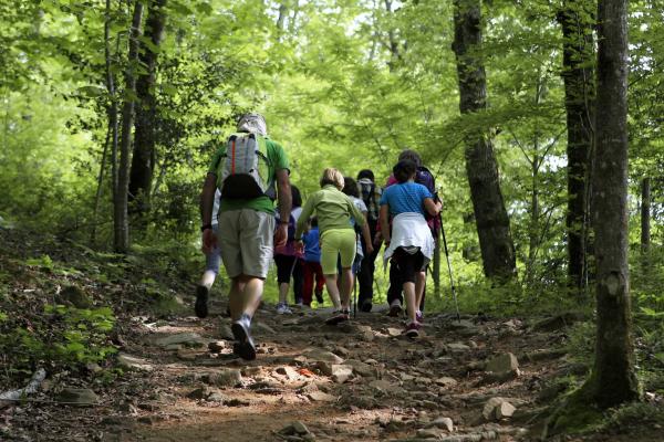 Garçons et filles assistent aux explications du guide dans le point de vue de la Foz de Arbaiun